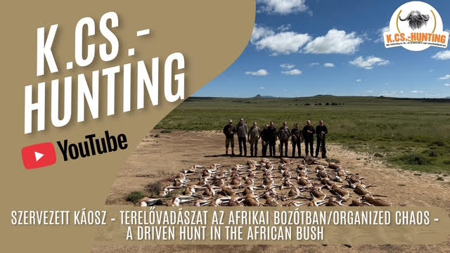 A DRIVEN HUNT IN THE AFRICAN BUSH / TERELŐVADÁSZAT AZ AFRIKAI BOZÓTBAN🌍